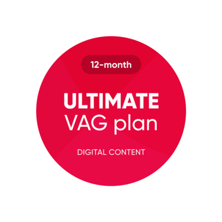 ULTIMATE-plan-12 months